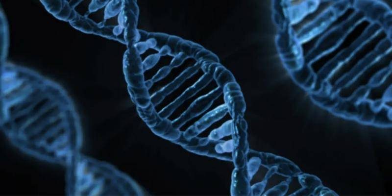 Medicina regenerativa: o que realmente é e para quem pode ser indicada?